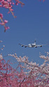 A380 9M-MNF