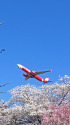 成田空港
