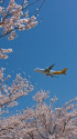 成田空港