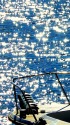 海辺の煌めき
