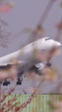 B747 N407KZ