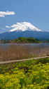 春の富士山