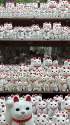 豪徳寺の招き猫