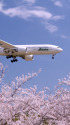 B777 I-DISU