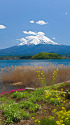 春の富士山