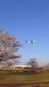 成田空港