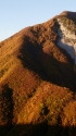 燃える山