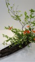 生け花 10