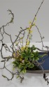 北海道生け花百人展