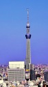 スカイツリーを望む