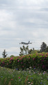 成田空港
