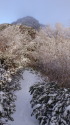 雪の合戦尾根