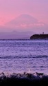波と富士山