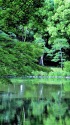 日比谷公園の朝