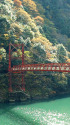 深沢峡の五月橋