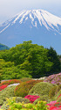 富士山とつつじ
