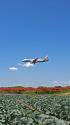 成田空港
