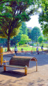 午後の公園