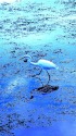 ラムサール条約登録地の風景