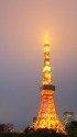 芝公園から東京タワーを望む