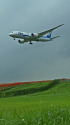 B787 JA820A