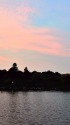 不忍池の夕景