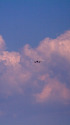 A320
