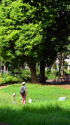 夏の公園・3