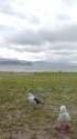小樽 塩谷海岸