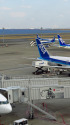 羽田空港