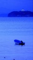 青く染まる逗子海岸