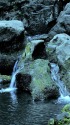 水分の石