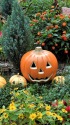 ハロウィン