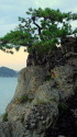 森戸海岸の風景