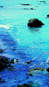 美しい海の景観