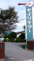 ヤイリギター製造会社