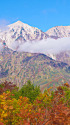 黒菱平から白馬三山