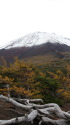 奥庭からの富士山初雪景色