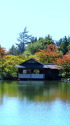 色づき始めた日本庭園