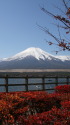 富士山&紅葉