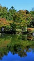 日本庭園のリフレクション