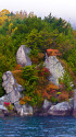 中禅寺湖の紅葉
