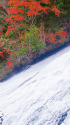 湯滝と紅葉