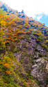 清津峡の紅葉