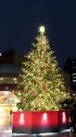 クリスマスツリー
