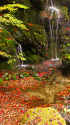 水辺の散り紅葉