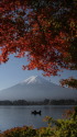 紅葉に富士山