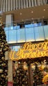 平和なクリスマスを祈ります。