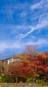 秋空と紅葉