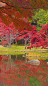 秋色の小石川後楽園